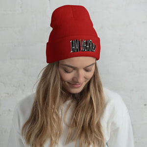 Dynamic Design Cuffed Beanie